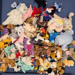 Lot of over 50 TY Beanie Babies